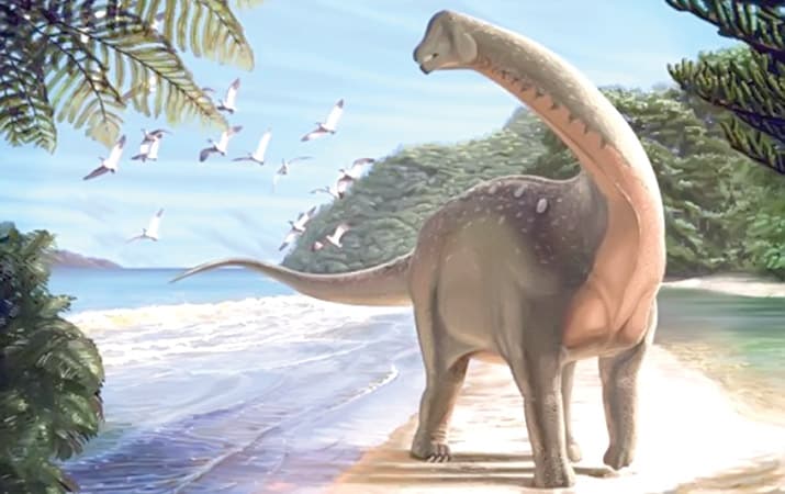 Гигантские динозавр вернись из Нигерии